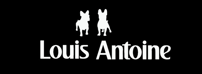 Louis Antoine